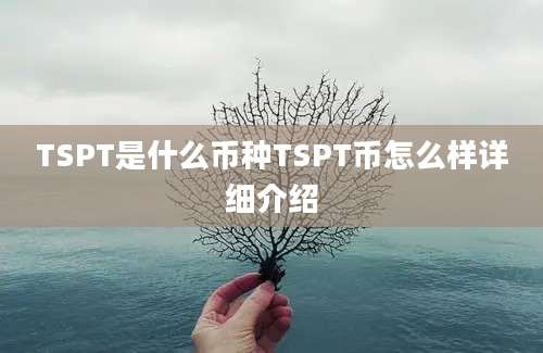 TSPT是什么币种TSPT币怎么样详细介绍