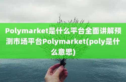 Polymarket是什么平台全面讲解预测市场平台Polymarket(poly是什么意思)