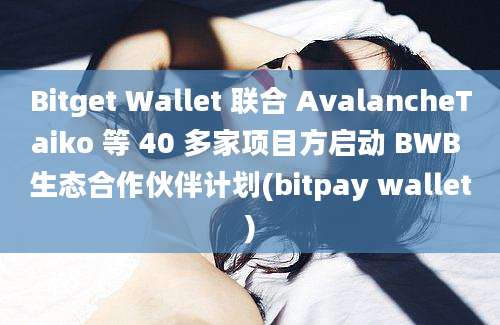 Bitget Wallet 联合 AvalancheTaiko 等 40 多家项目方启动 BWB 生态合作伙伴计划(bitpay wallet)