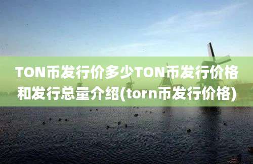 TON币发行价多少TON币发行价格和发行总量介绍(torn币发行价格)