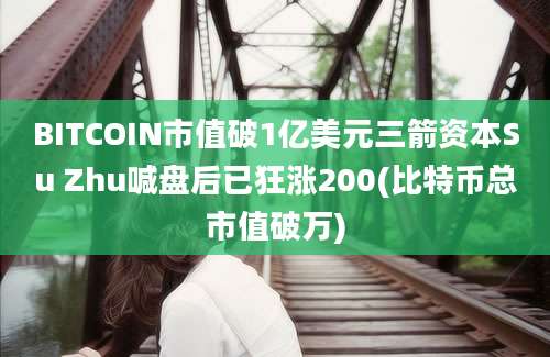 BITCOIN市值破1亿美元三箭资本Su Zhu喊盘后已狂涨200(比特币总市值破万)