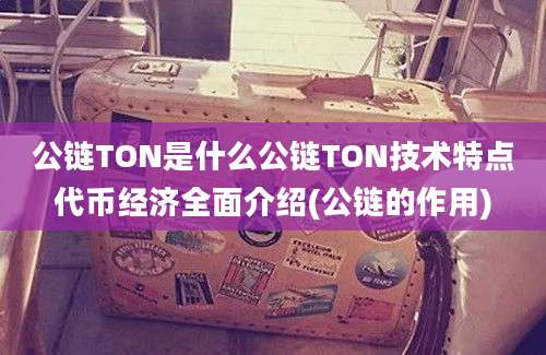 公链TON是什么公链TON技术特点代币经济全面介绍(公链的作用)