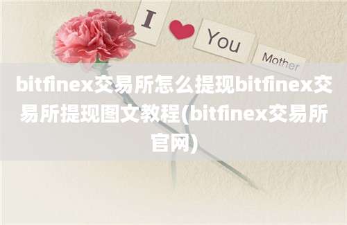 bitfinex交易所怎么提现bitfinex交易所提现图文教程(bitfinex交易所官网)