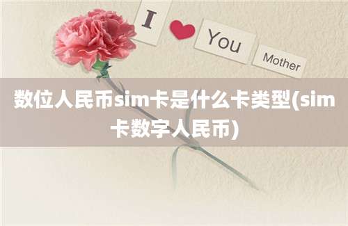 数位人民币sim卡是什么卡类型(sim卡数字人民币)