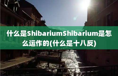 什么是ShibariumShibarium是怎么运作的(什么是十八反)