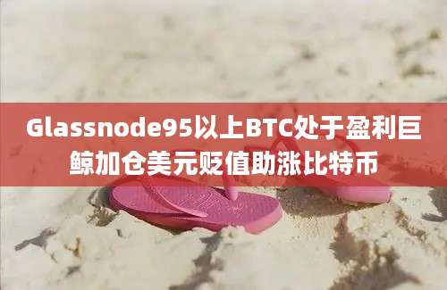 Glassnode95以上BTC处于盈利巨鲸加仓美元贬值助涨比特币