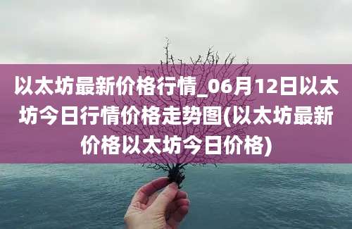 以太坊最新价格行情_06月12日以太坊今日行情价格走势图(以太坊最新价格以太坊今日价格)