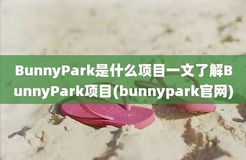 BunnyPark是什么项目一文了解BunnyPark项目(bunnypark官网)