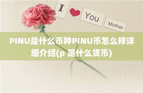 PINU是什么币种PINU币怎么样详细介绍(p 是什么货币)