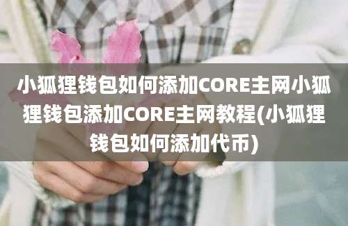 小狐狸钱包如何添加CORE主网小狐狸钱包添加CORE主网教程(小狐狸钱包如何添加代币)