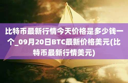 比特币最新行情今天价格是多少钱一个_09月20日BTC最新价格美元(比特币最新行情美元)