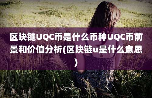 区块链UQC币是什么币种UQC币前景和价值分析(区块链u是什么意思)