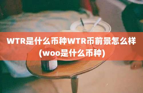 WTR是什么币种WTR币前景怎么样(woo是什么币种)