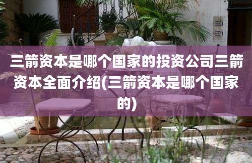 三箭资本是哪个国家的投资公司三箭资本全面介绍(三箭资本是哪个国家的)