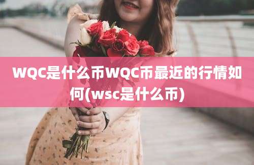 WQC是什么币WQC币最近的行情如何(wsc是什么币)