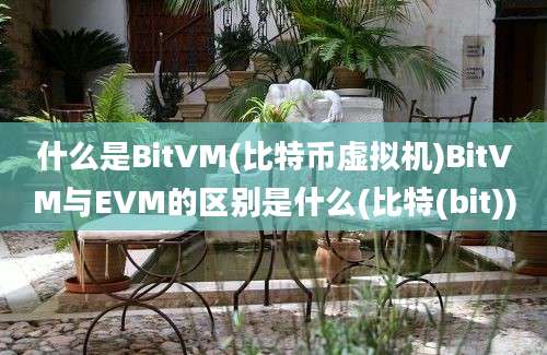 什么是BitVM(比特币虚拟机)BitVM与EVM的区别是什么(比特(bit))