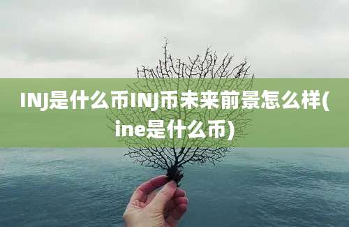 INJ是什么币INJ币未来前景怎么样(ine是什么币)