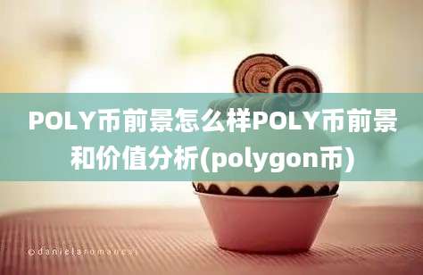 POLY币前景怎么样POLY币前景和价值分析(polygon币)