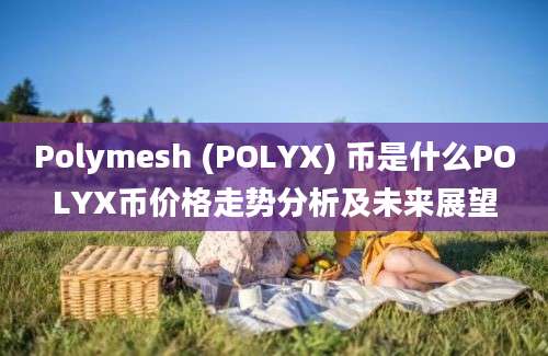 Polymesh (POLYX) 币是什么POLYX币价格走势分析及未来展望