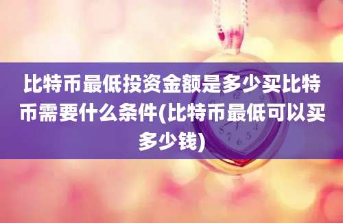 比特币最低投资金额是多少买比特币需要什么条件(比特币最低可以买多少钱)