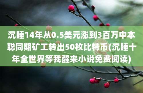 沉睡14年从0.5美元涨到3百万中本聪同期矿工转出50枚比特币(沉睡十年全世界等我醒来小说免费阅读)