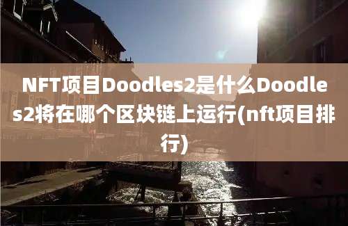 NFT项目Doodles2是什么Doodles2将在哪个区块链上运行(nft项目排行)