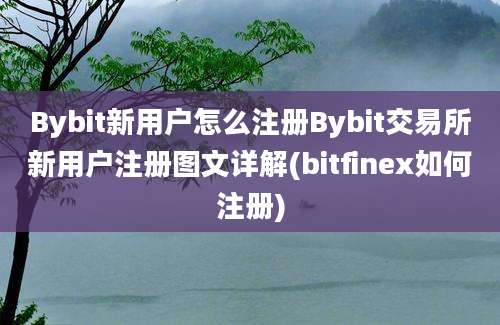 Bybit新用户怎么注册Bybit交易所新用户注册图文详解(bitfinex如何注册)