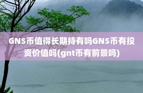 GNS币值得长期持有吗GNS币有投资价值吗(gnt币有前景吗)