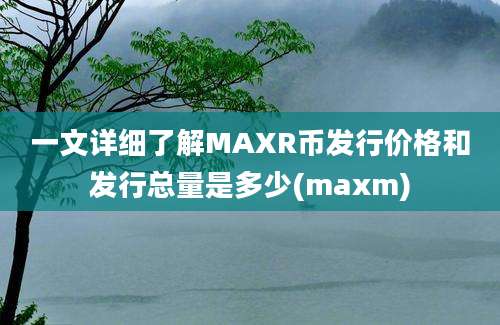 一文详细了解MAXR币发行价格和发行总量是多少(maxm)