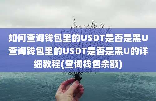 如何查询钱包里的USDT是否是黑U查询钱包里的USDT是否是黑U的详细教程(查询钱包余额)