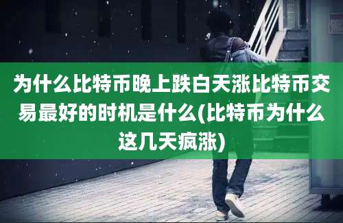 为什么比特币晚上跌白天涨比特币交易最好的时机是什么(比特币为什么这几天疯涨)