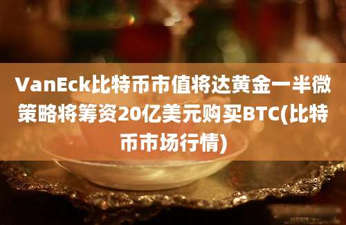 VanEck比特币市值将达黄金一半微策略将筹资20亿美元购买BTC(比特币市场行情)