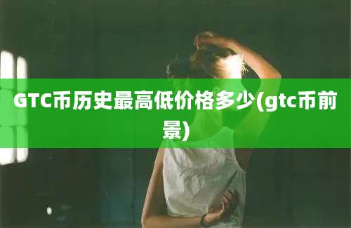 GTC币历史最高低价格多少(gtc币前景)