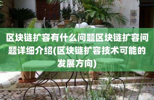 区块链扩容有什么问题区块链扩容问题详细介绍(区块链扩容技术可能的发展方向)