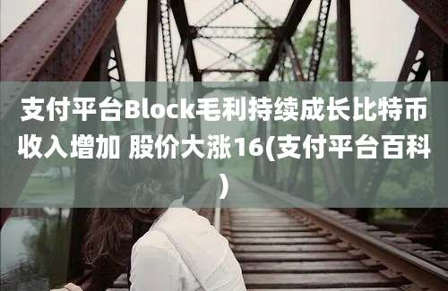 支付平台Block毛利持续成长比特币收入增加 股价大涨16(支付平台百科)