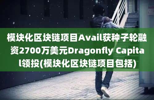 模块化区块链项目Avail获种子轮融资2700万美元Dragonfly Capital领投(模块化区块链项目包括)