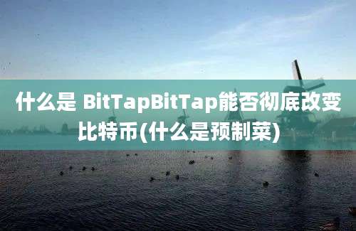 什么是 BitTapBitTap能否彻底改变比特币(什么是预制菜)