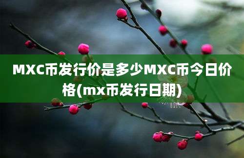 MXC币发行价是多少MXC币今日价格(mx币发行日期)