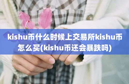 kishu币什么时候上交易所kishu币怎么买(kishu币还会暴跌吗)