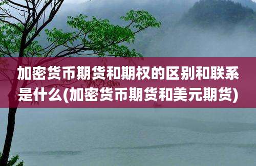 加密货币期货和期权的区别和联系是什么(加密货币期货和美元期货)