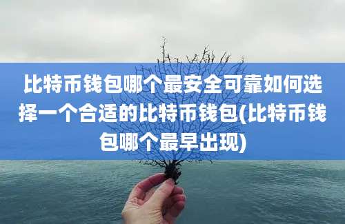 比特币钱包哪个最安全可靠如何选择一个合适的比特币钱包(比特币钱包哪个最早出现)