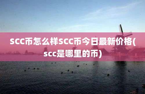 SCC币怎么样SCC币今日最新价格(scc是哪里的币)