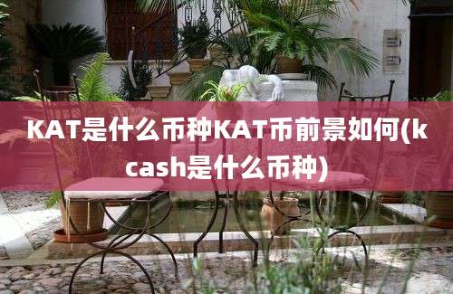 KAT是什么币种KAT币前景如何(kcash是什么币种)