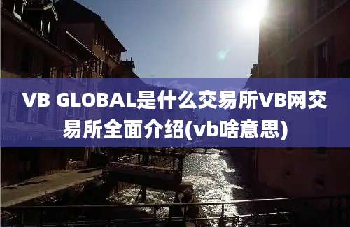 VB GLOBAL是什么交易所VB网交易所全面介绍(vb啥意思)