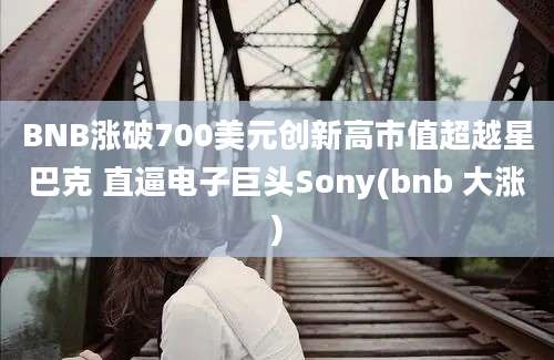 BNB涨破700美元创新高市值超越星巴克 直逼电子巨头Sony(bnb 大涨)