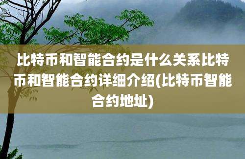 比特币和智能合约是什么关系比特币和智能合约详细介绍(比特币智能合约地址)