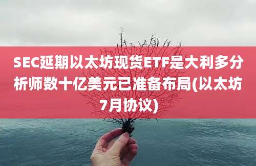 SEC延期以太坊现货ETF是大利多分析师数十亿美元已准备布局(以太坊7月协议)