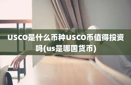 USCO是什么币种USCO币值得投资吗(us是哪国货币)