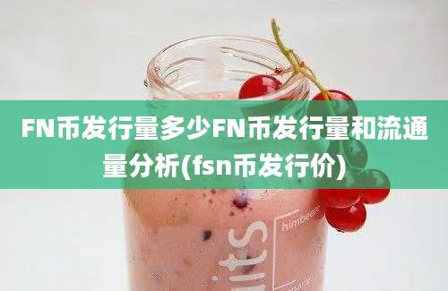 FN币发行量多少FN币发行量和流通量分析(fsn币发行价)