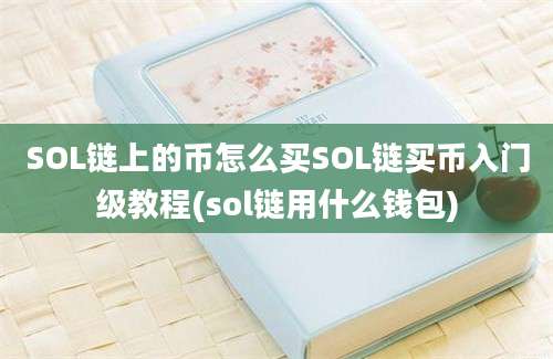 SOL链上的币怎么买SOL链买币入门级教程(sol链用什么钱包)